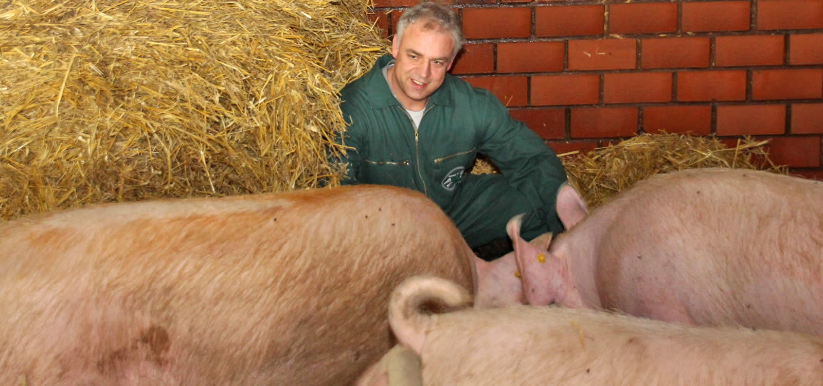 AWS - Animal Welfare Service GmbH - Animal Welfare is the future!
